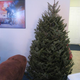 Image for article titled Best Xmas Tree Ever Has All the Sci-Fi Decorations You Can Imagine